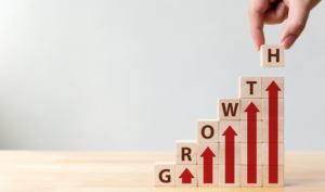 How to Grow Your Business Online